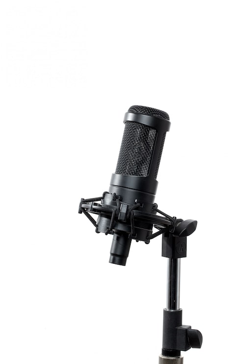 Microphone